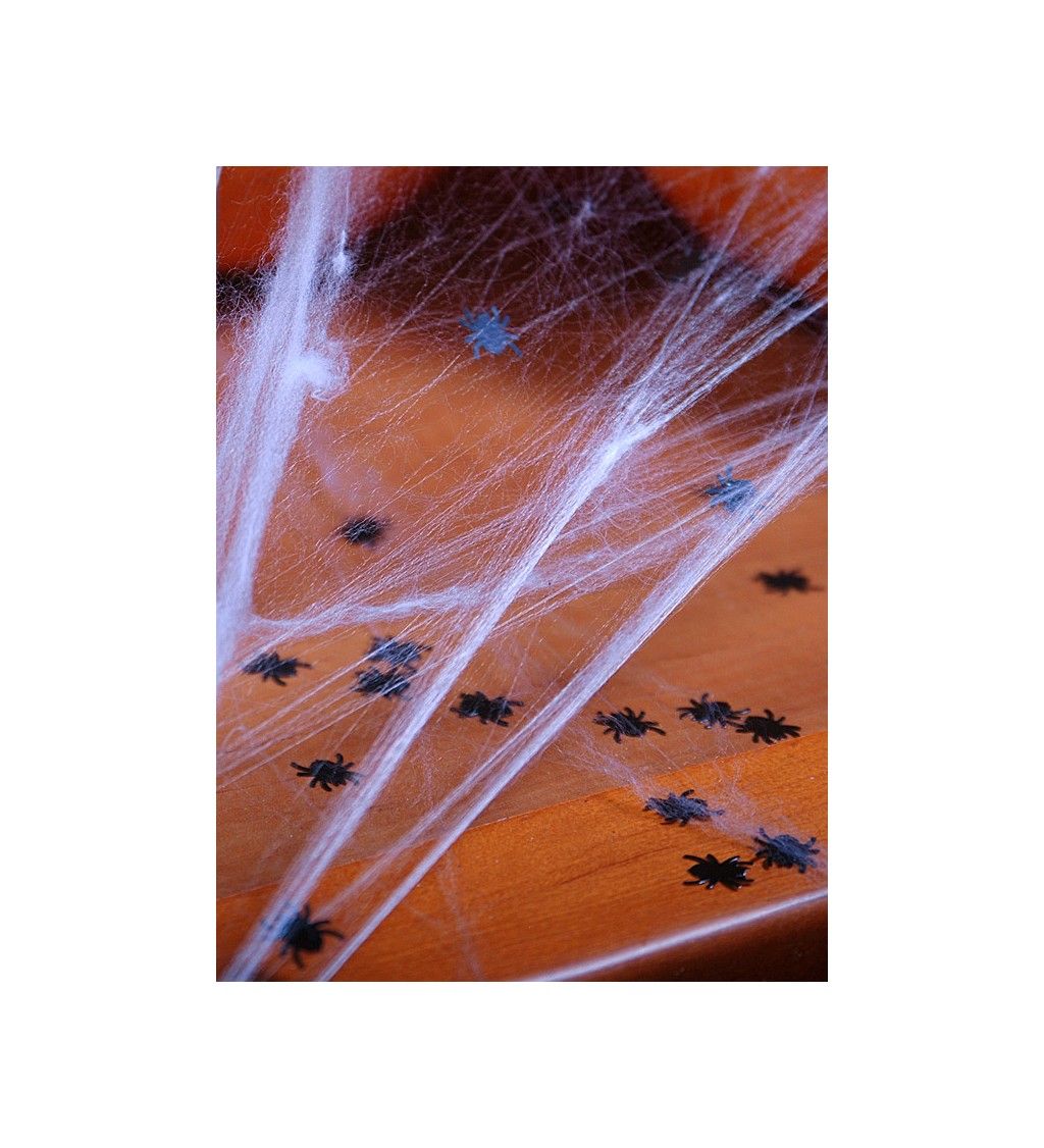 Dekorácia - Konfety pavúky