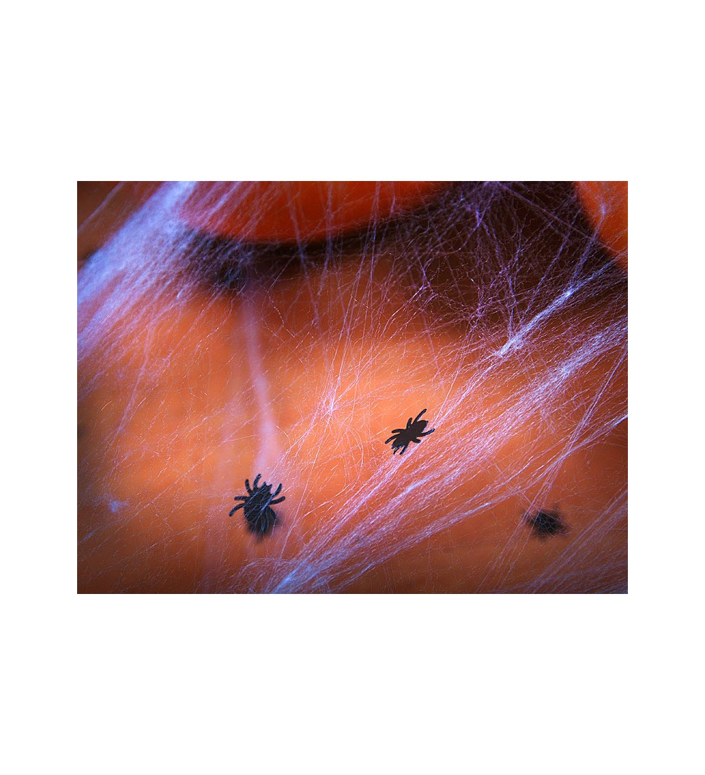 Dekorácia - Konfety pavúky
