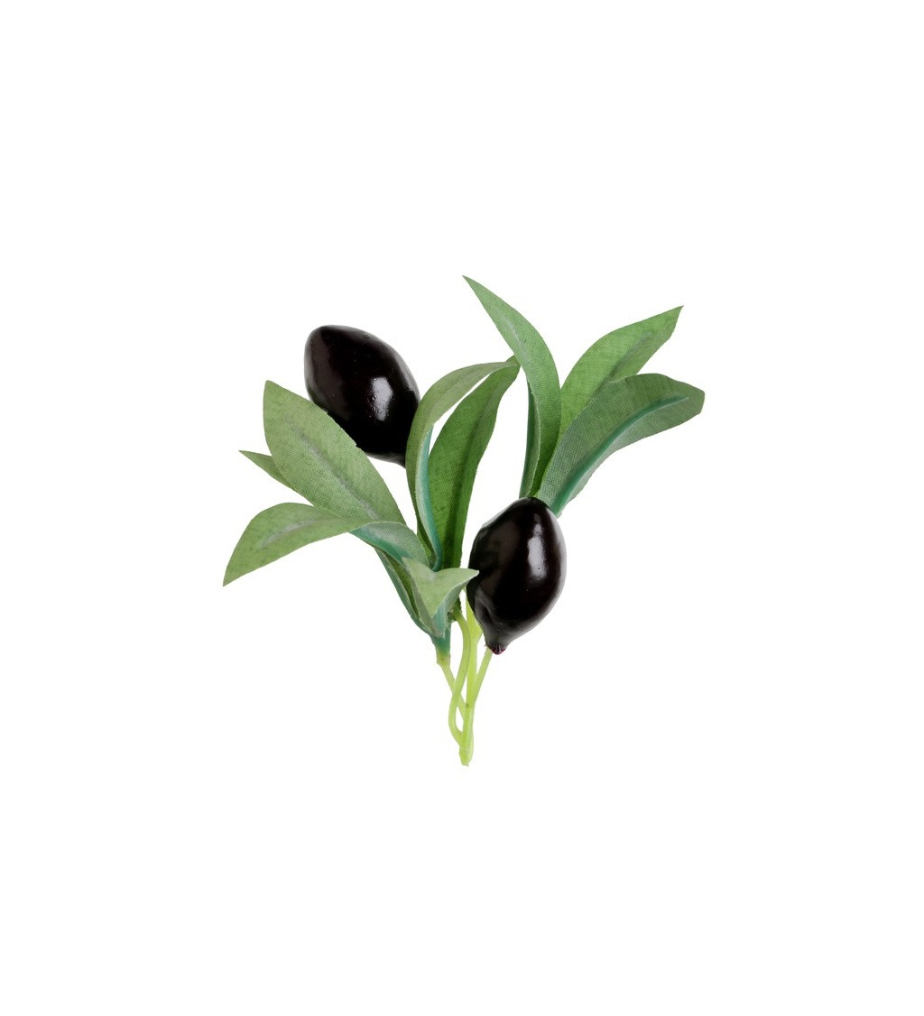 Ozdobné olivové vetvičky