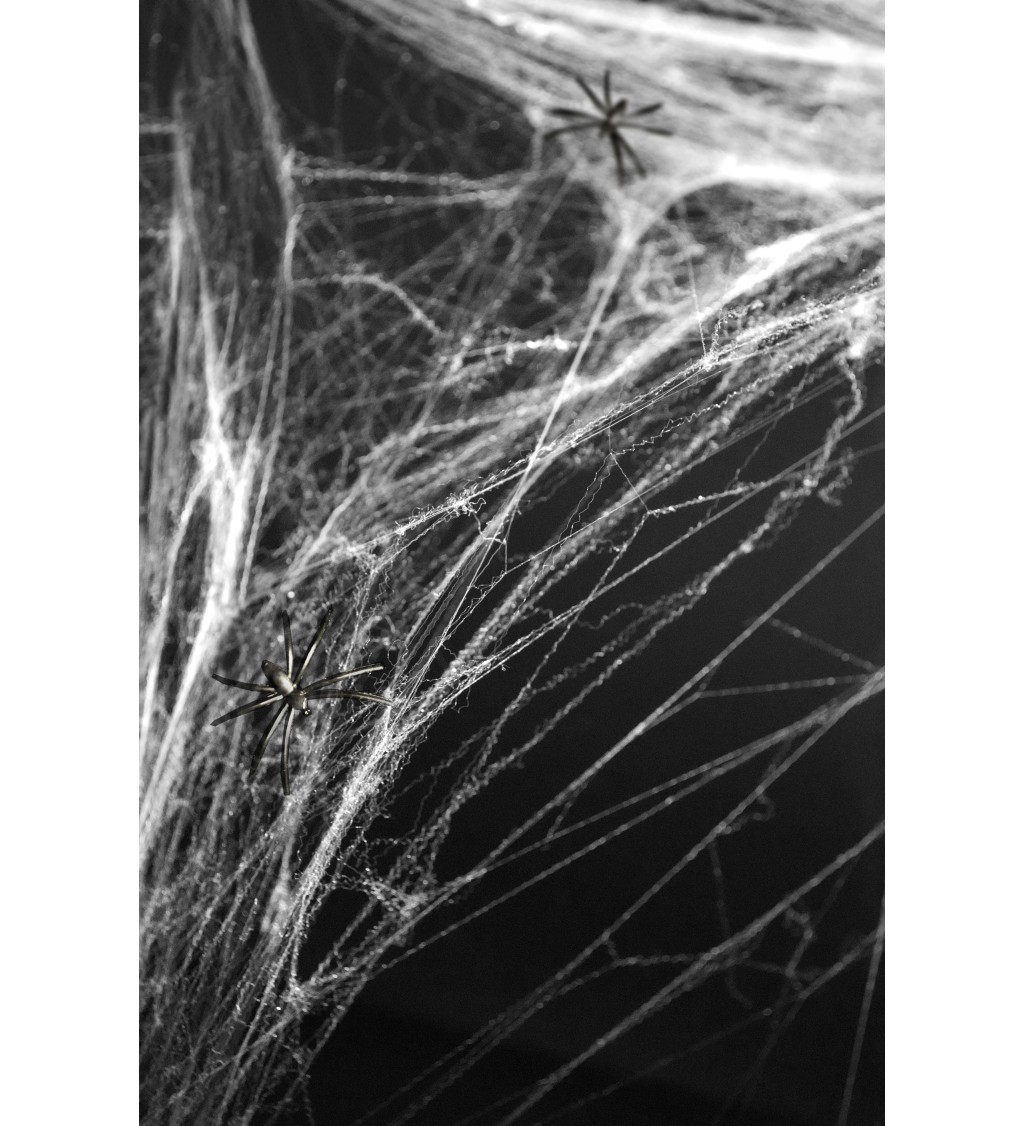 Biela pavučinová sieť