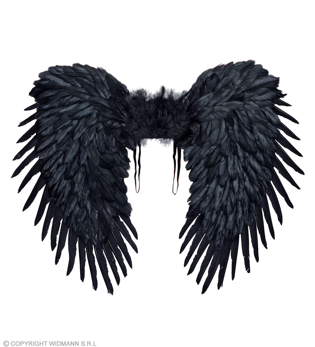 Anjelské krídla, čierne