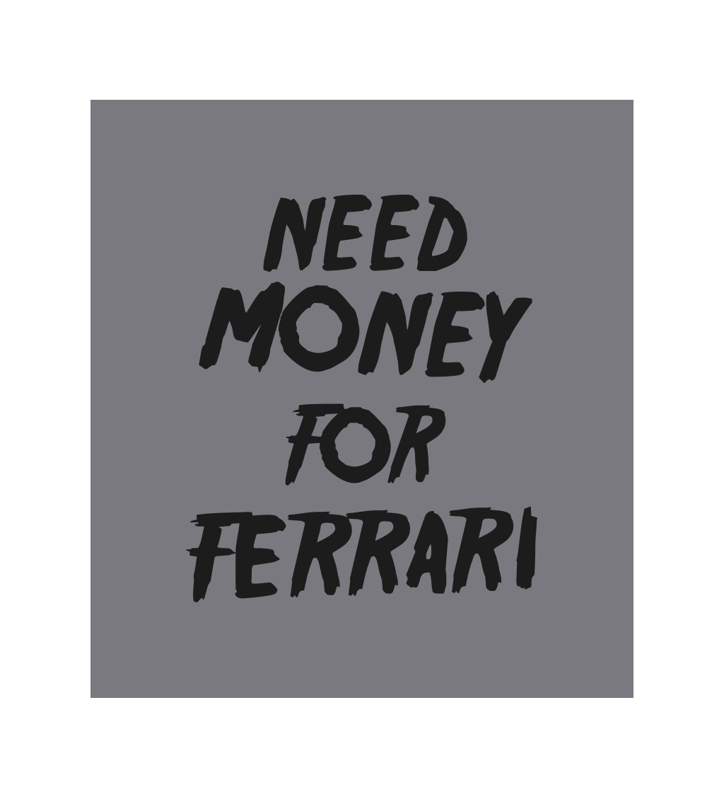 Zástera šedá - Need money for Ferrari