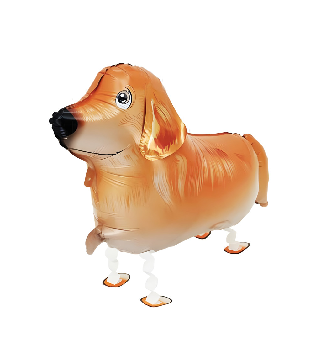 Chodiaci balónik - Zlatý retriever