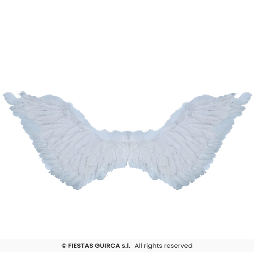 Biele anjelské krídla