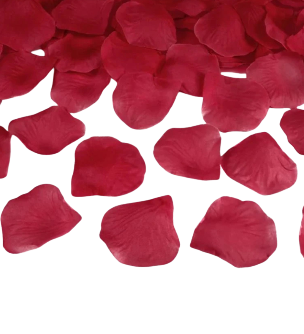 Okvetné lístky ruží vo vínovej farbe