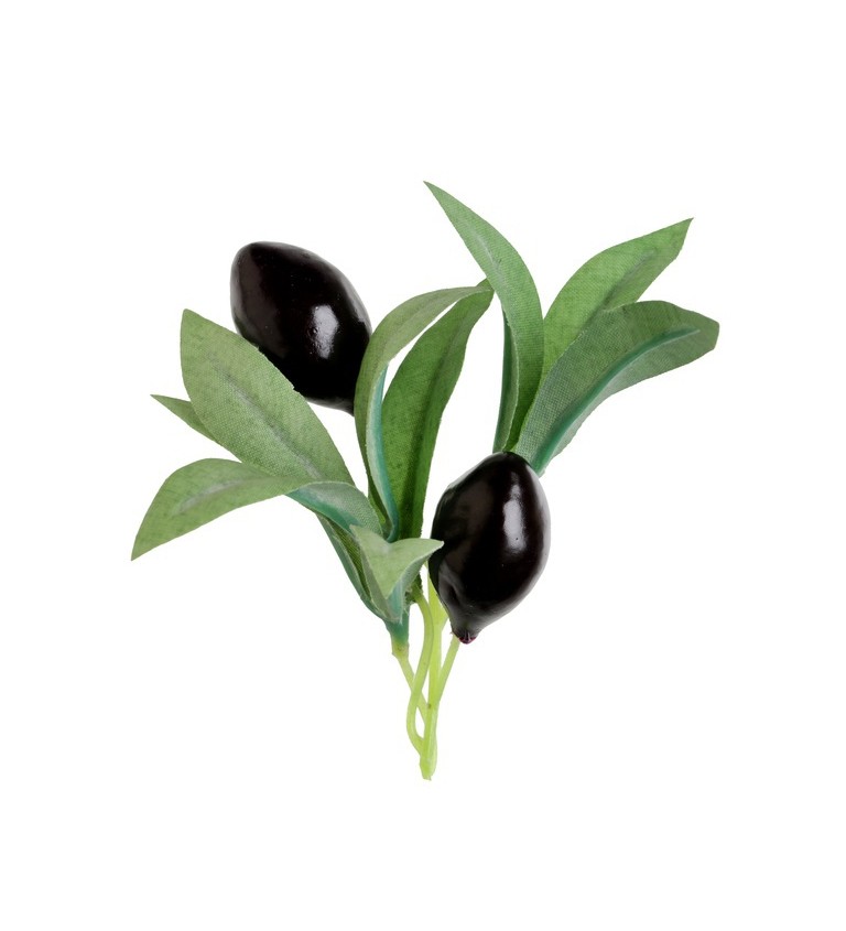 Ozdobné olivové vetvičky