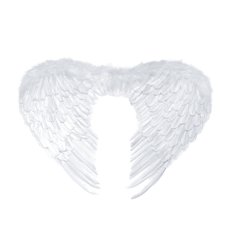 Krídla bieleho anjela
